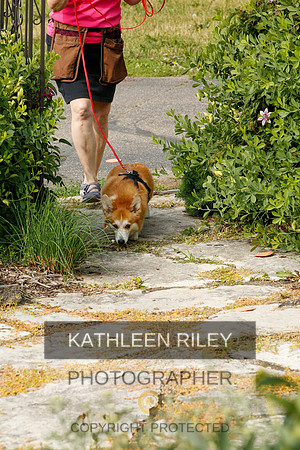 2022-KathleenRileyPhotography-9354
