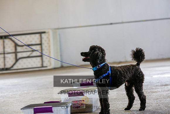 2022-KathleenRileyPhotography-9580