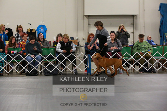 2022-KathleenRileyPhotography-8106