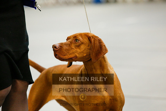 2022-KathleenRileyPhotography-9703