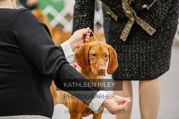 2022-KathleenRileyPhotography-1740