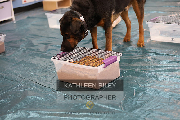SJLT0348