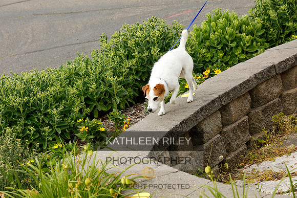2022-KathleenRileyPhotography-9333