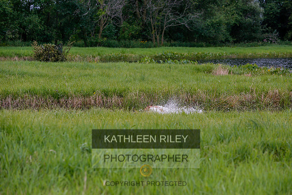 2022-KathleenRileyPhotography-3479