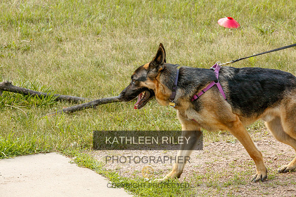 2022-KathleenRileyPhotography-0213