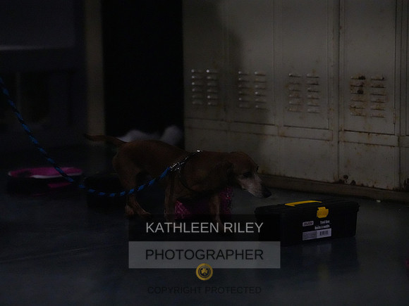 2022-KathleenRileyPhotography167