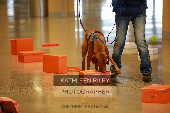 2022-KathleenRileyPhotography-7409
