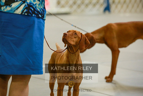 2022-KathleenRileyPhotography-8845