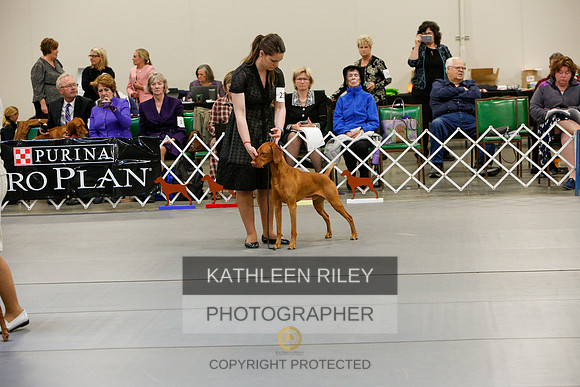 2022-KathleenRileyPhotography-5895