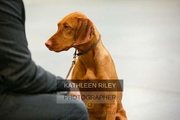 2022-KathleenRileyPhotography-8711