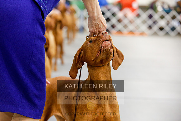 2022-KathleenRileyPhotography-2207