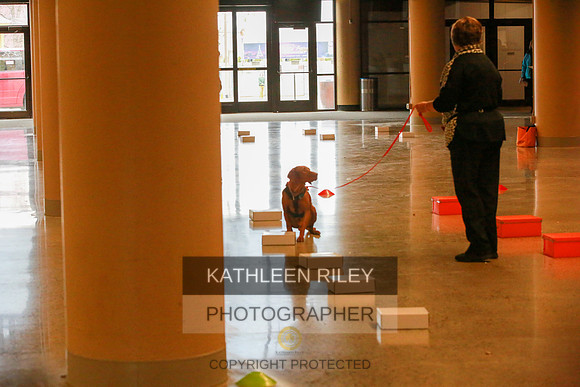 2022-KathleenRileyPhotography-7483