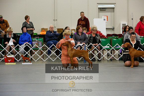 2022-KathleenRileyPhotography-6034