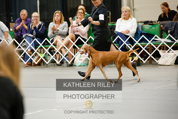 2022-KathleenRileyPhotography-1331