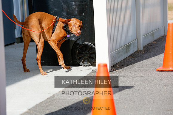 2022-KathleenRileyPhotography-3841