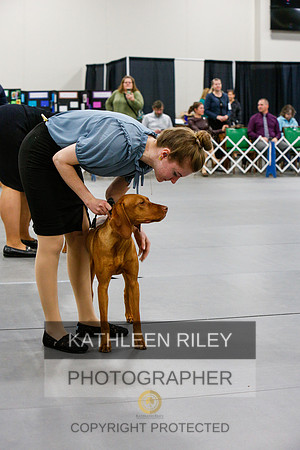 2022-KathleenRileyPhotography-6899