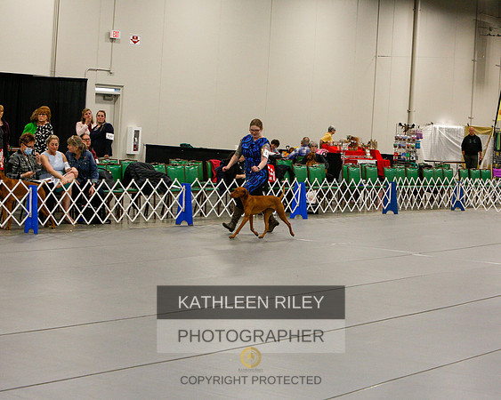 2022-KathleenRileyPhotography-7169