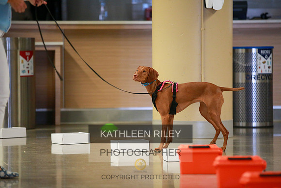 2022-KathleenRileyPhotography-7688