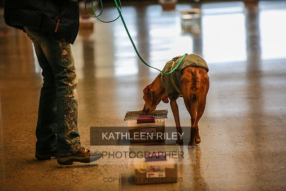 2022-KathleenRileyPhotography-7269