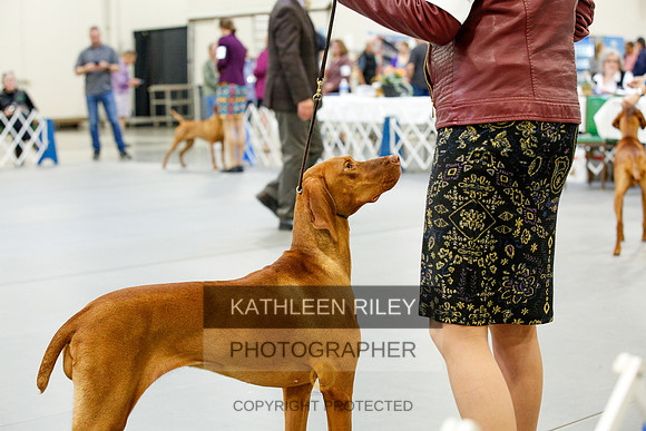 2022-KathleenRileyPhotography-9811