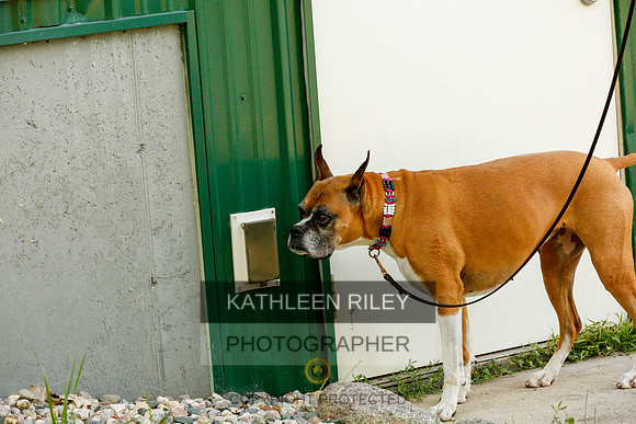 2022-KathleenRileyPhotography-0329
