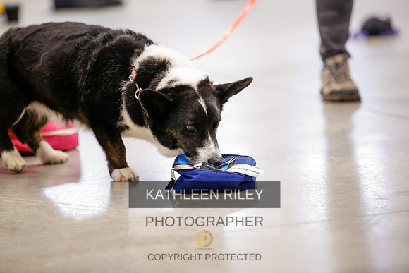 2022-KathleenRileyPhotography-7478