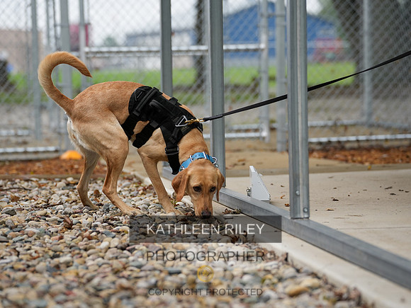2022-KathleenRileyPhotography-06778