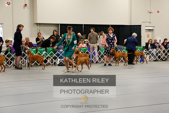 2022-KathleenRileyPhotography-6173