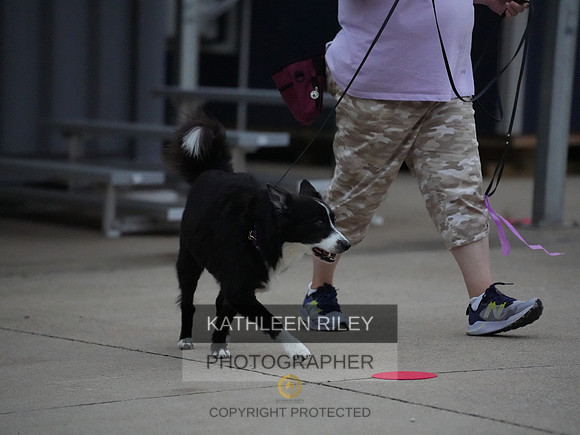 2022-KathleenRileyPhotography071