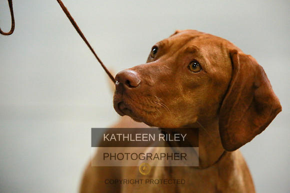 2022-KathleenRileyPhotography-8851