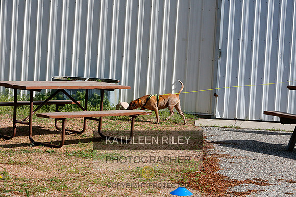 2022-KathleenRileyPhotography-9469