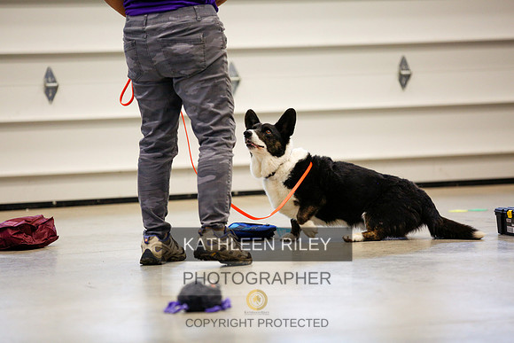2022-KathleenRileyPhotography-7467