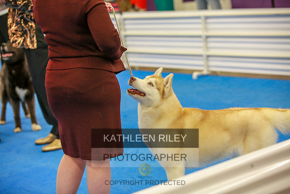 2022-KathleenRileyPhotography-5716