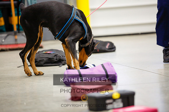 2022-KathleenRileyPhotography-7146