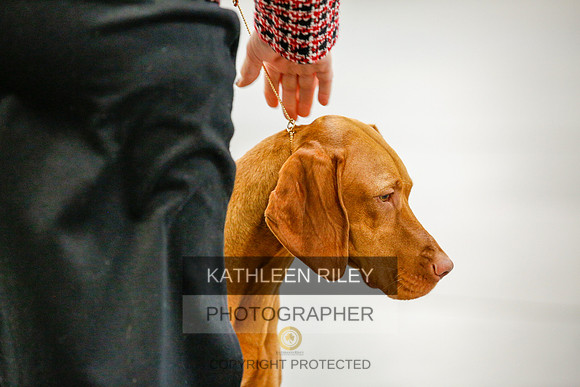 2022-KathleenRileyPhotography-9697