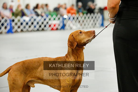 2022-KathleenRileyPhotography-0125