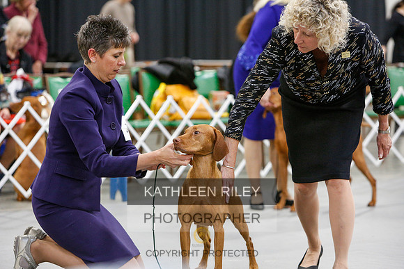 2022-KathleenRileyPhotography-7334