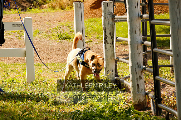 2022-KathleenRileyPhotography-0130
