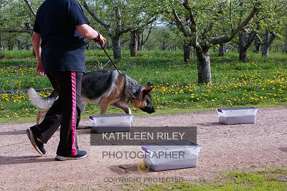 2022-KathleenRileyPhotography-8411