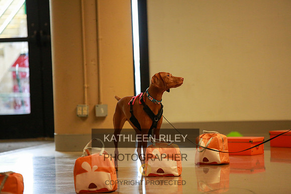 2022-KathleenRileyPhotography-7684
