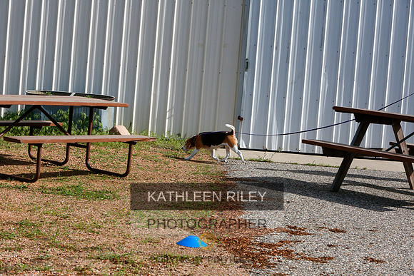 2022-KathleenRileyPhotography-9432