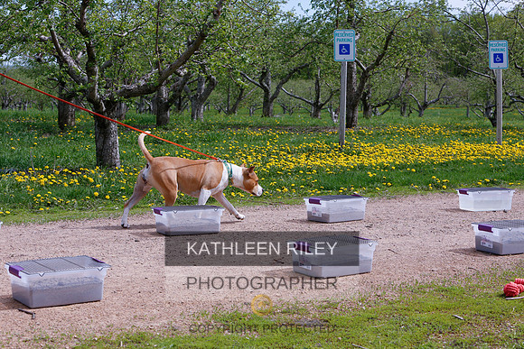 2022-KathleenRileyPhotography-8734