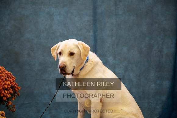 2022-KathleenRileyPhotography-0168