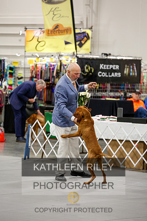 2022-KathleenRileyPhotography-1453