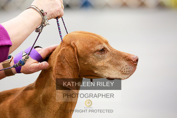 2022-KathleenRileyPhotography-8139