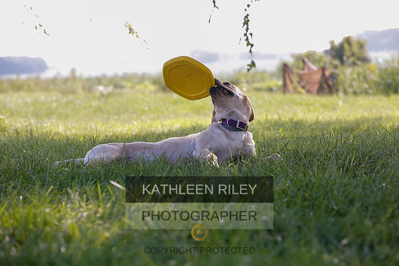 2022-KathleenRileyPhotography-7943
