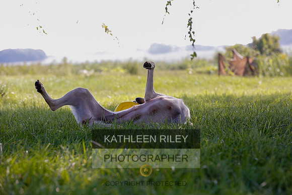 2022-KathleenRileyPhotography-7946