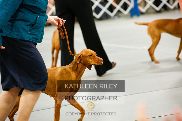 2022-KathleenRileyPhotography-1216