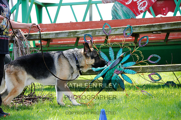 2022-KathleenRileyPhotography-3162 (1)