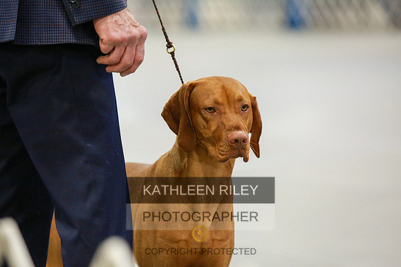2022-KathleenRileyPhotography-8569
